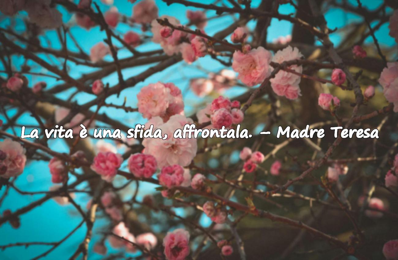 famose riflettere frasi sulla vita