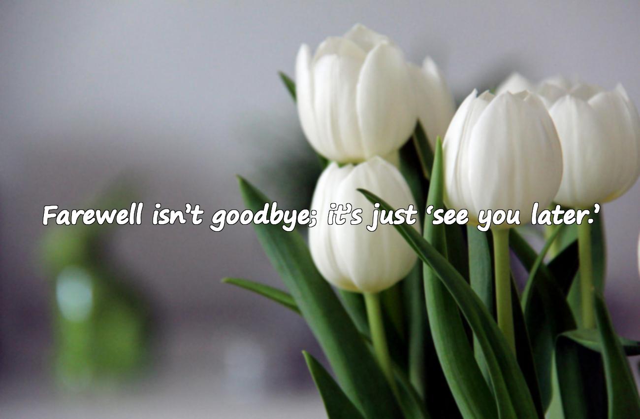 farewell quotes for friends