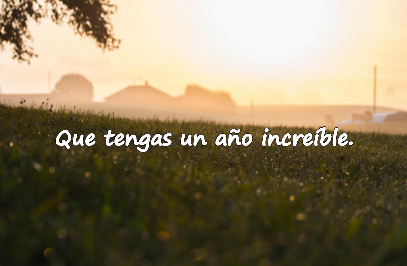 feliz cumpleaños frases cortas