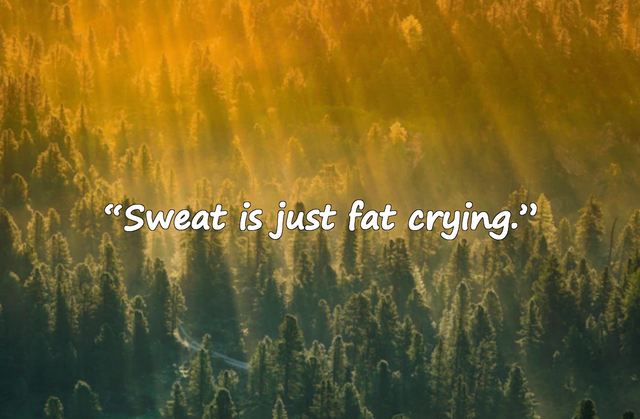 fitness motivational quotes