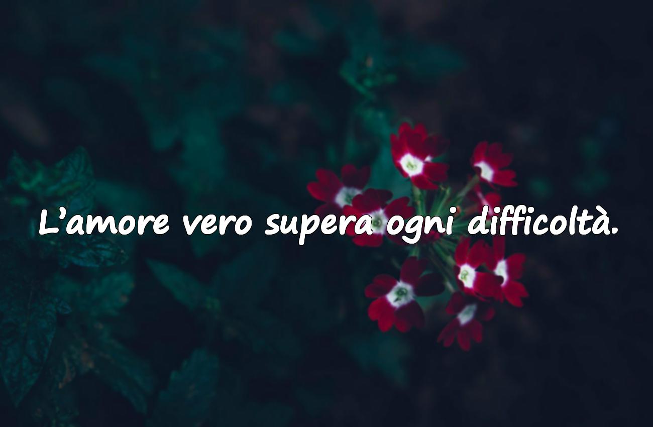 frase amore
