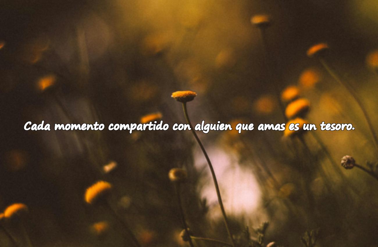 frase bonita