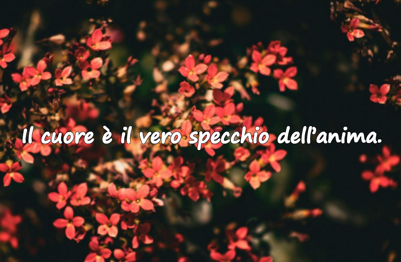 frase cuore
