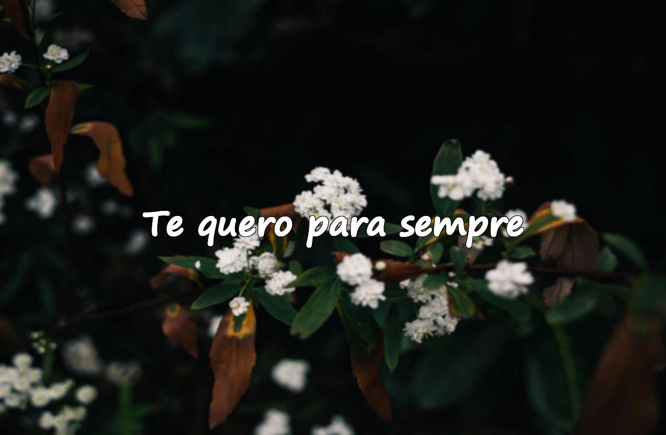 frase curta de amor
