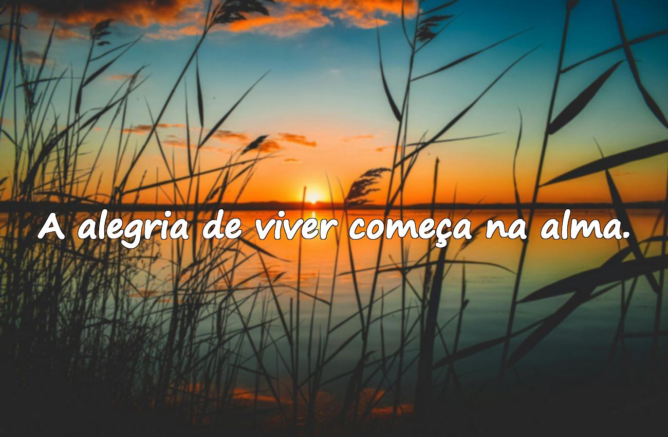 frase do dia
