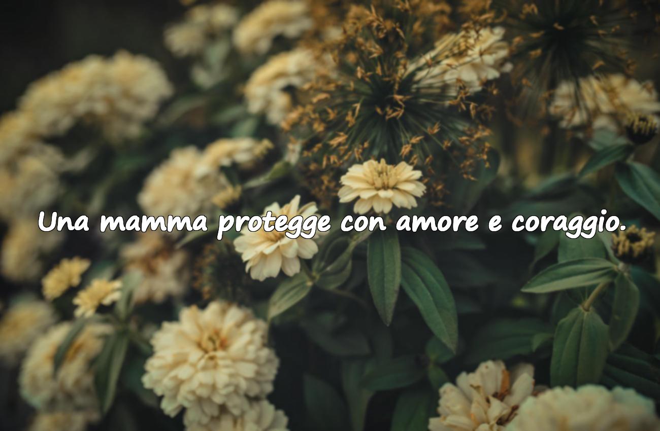 frase mamma