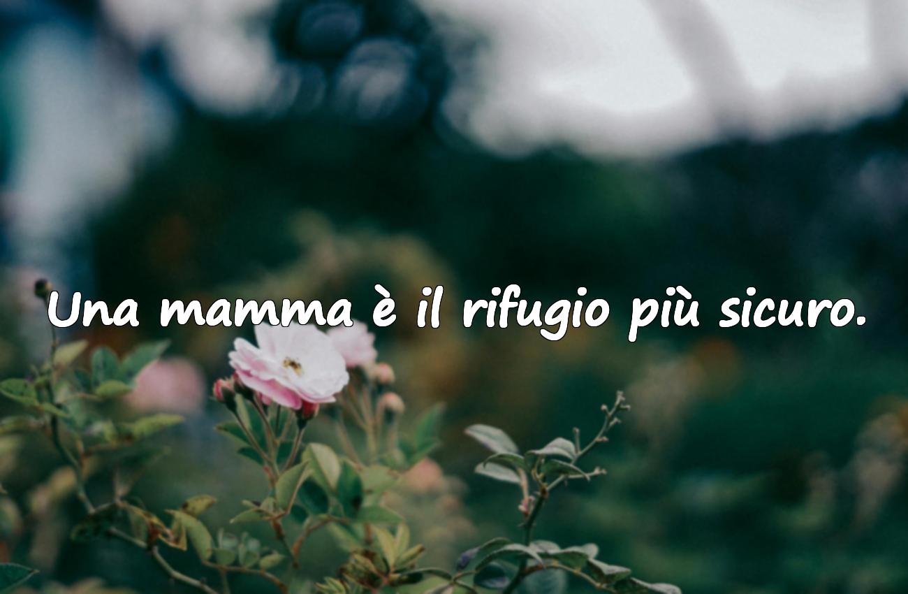 frase mamma