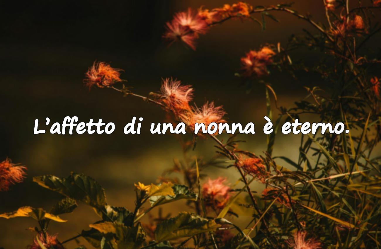 frase nonna