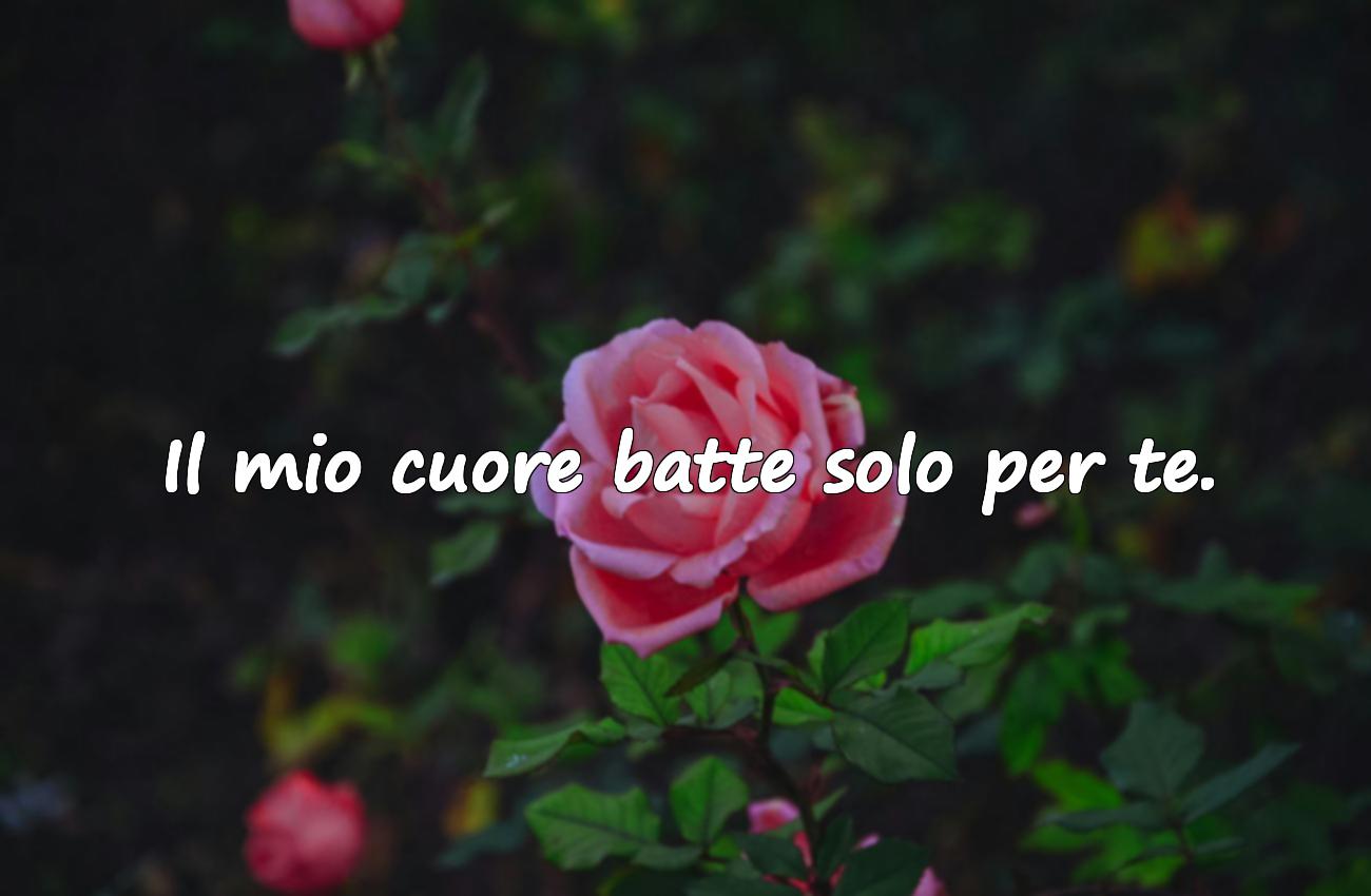 frase per fidanzato