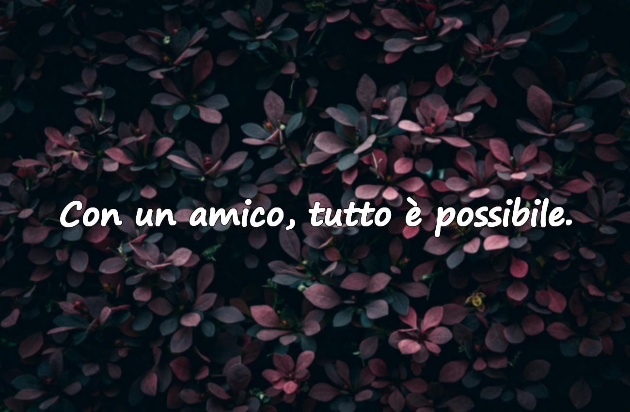 frase su amicizia