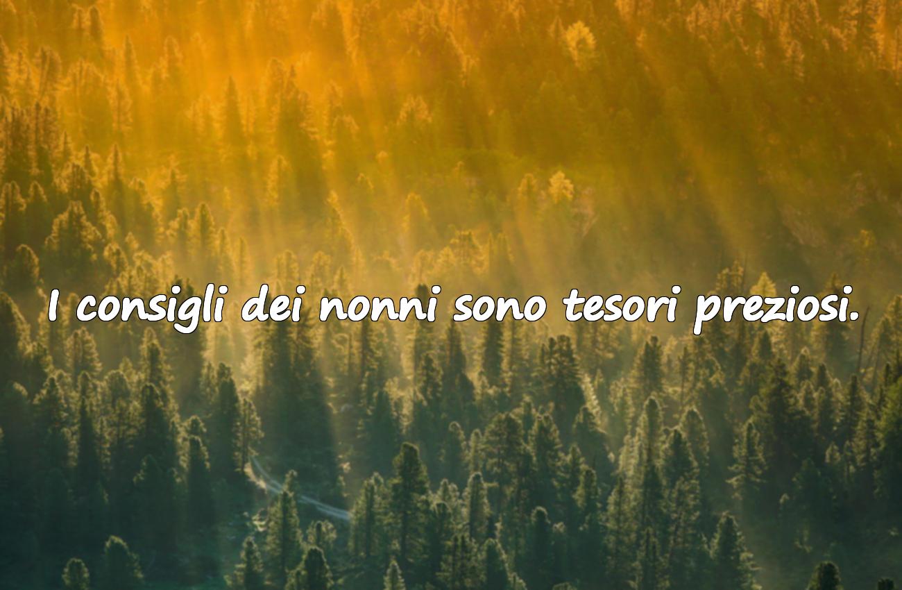 frase sui nonni