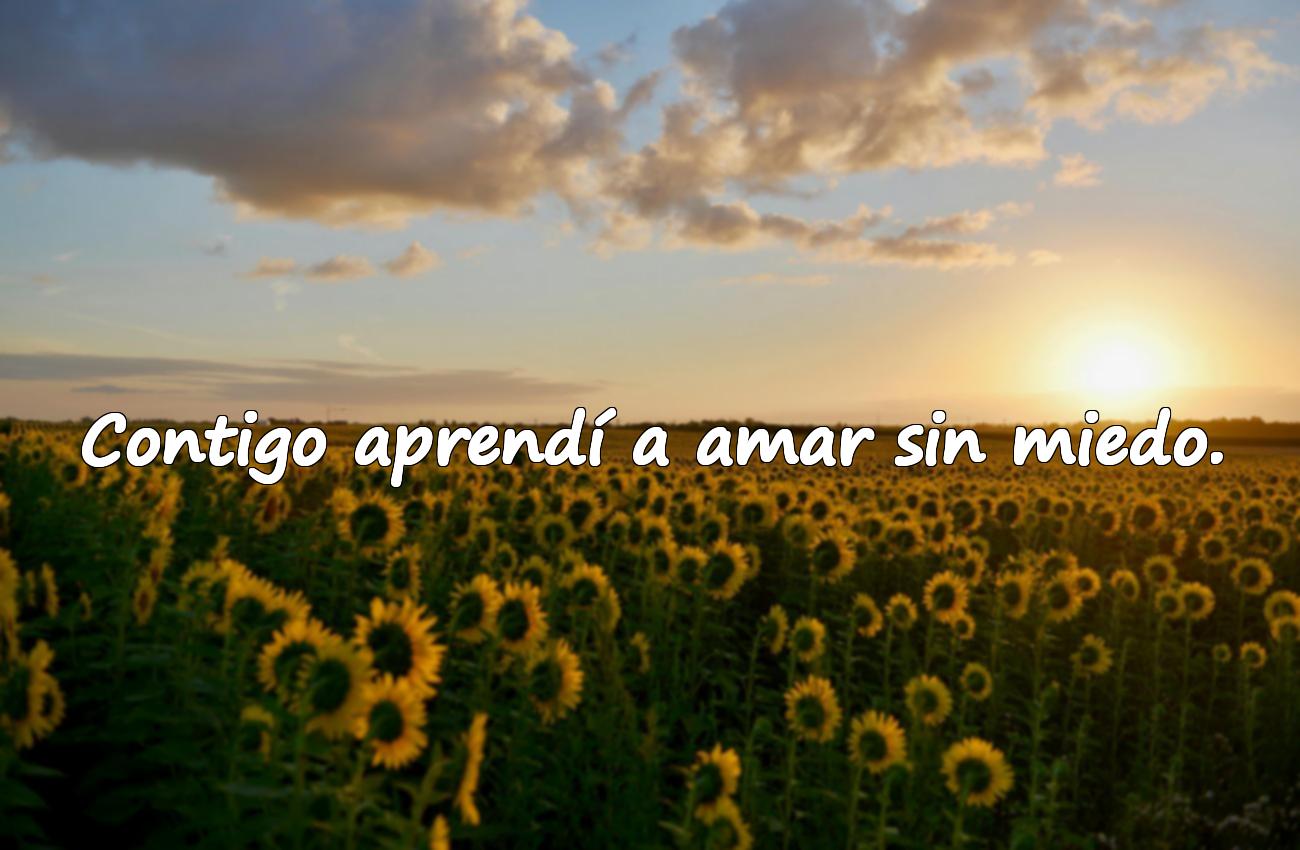 frases bonitas de amor