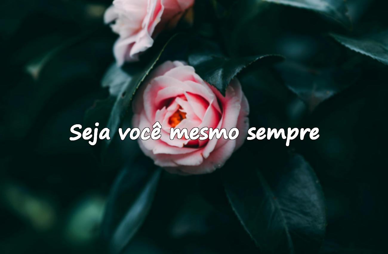 frases curtas bonitas