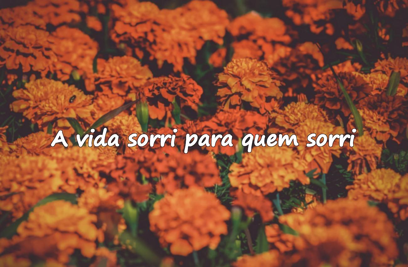 frases curtas bonitas