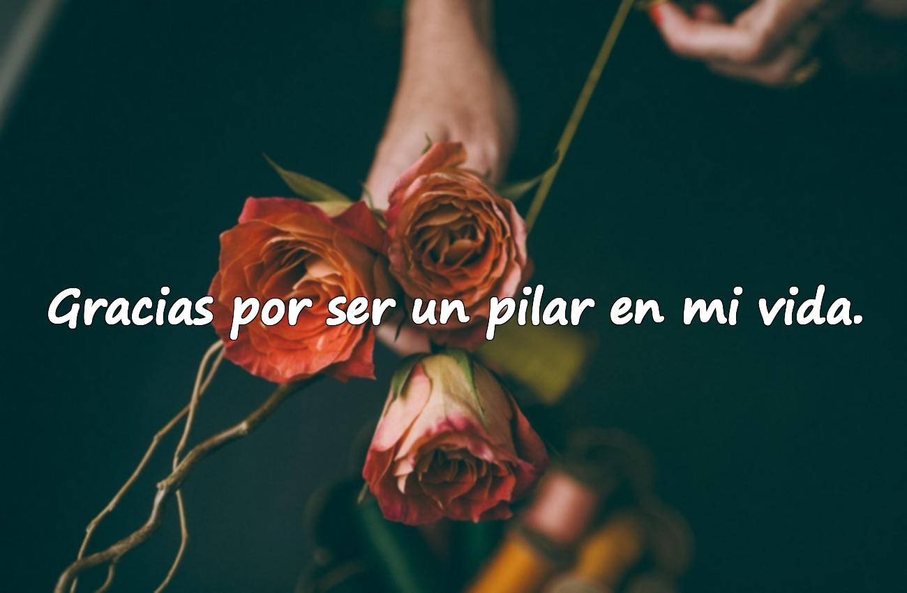 frases de agradecimiento