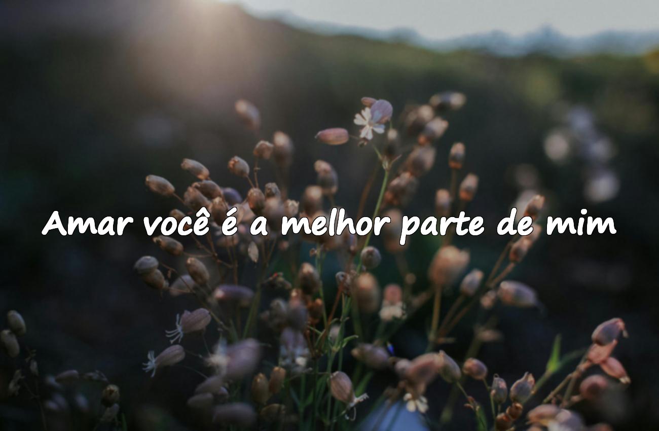 frases de amor curtas