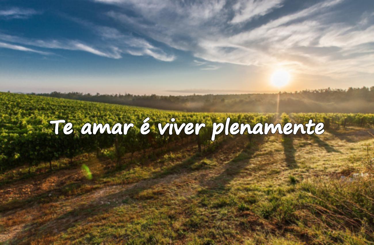 frases de amor curtas e profundas