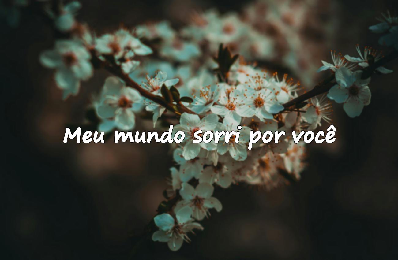 frases de amor curtas e profundas