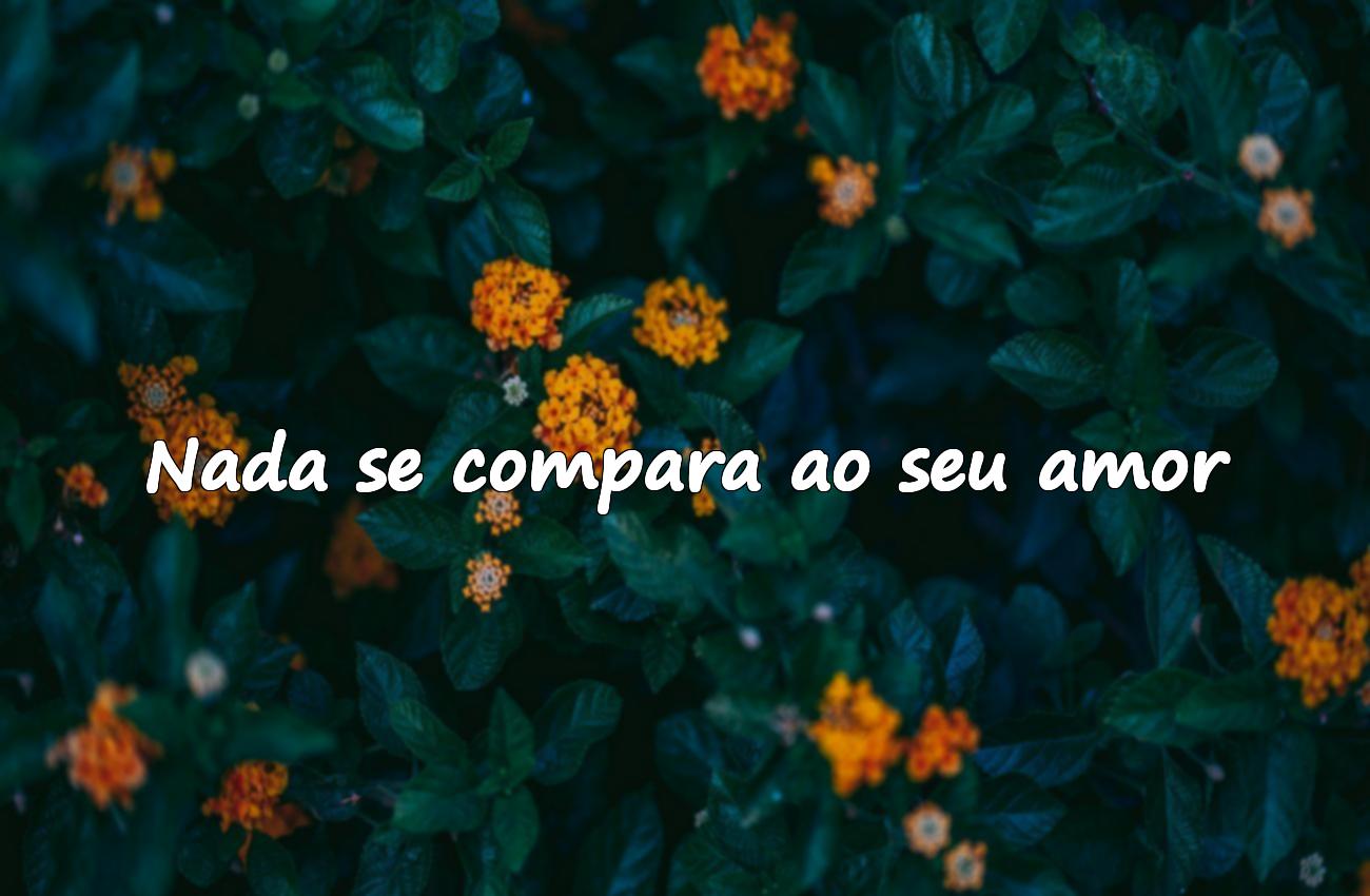 frases de amor para namorada