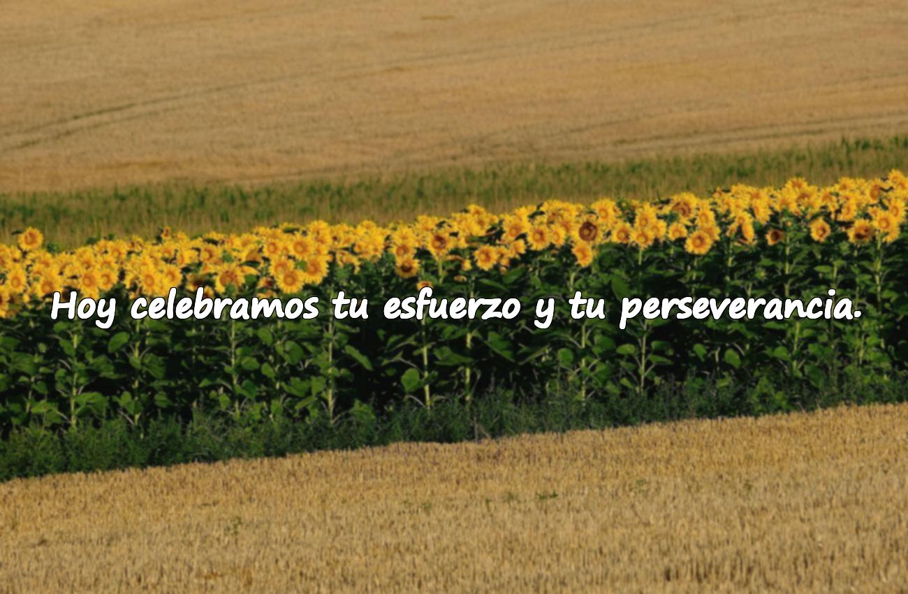 frases de graduacion