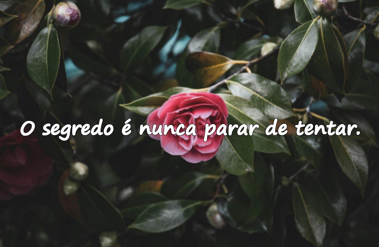 frases de inspiração