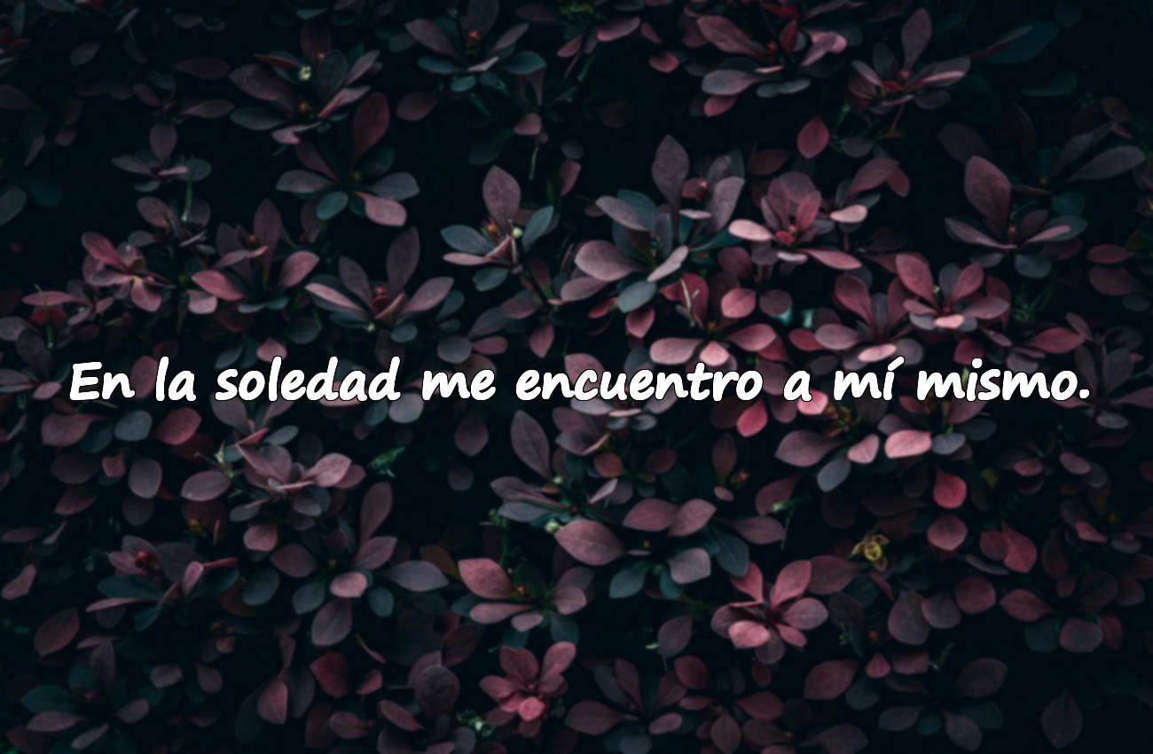 frases de la soledad