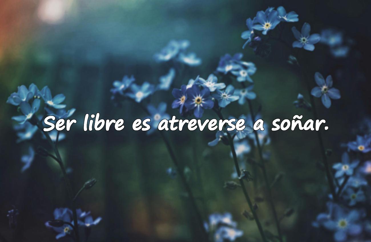 frases de libertad
