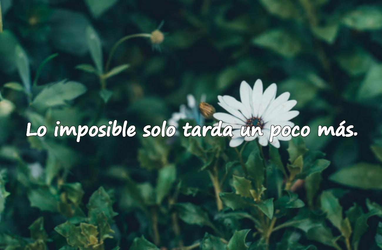 frases de motivacion