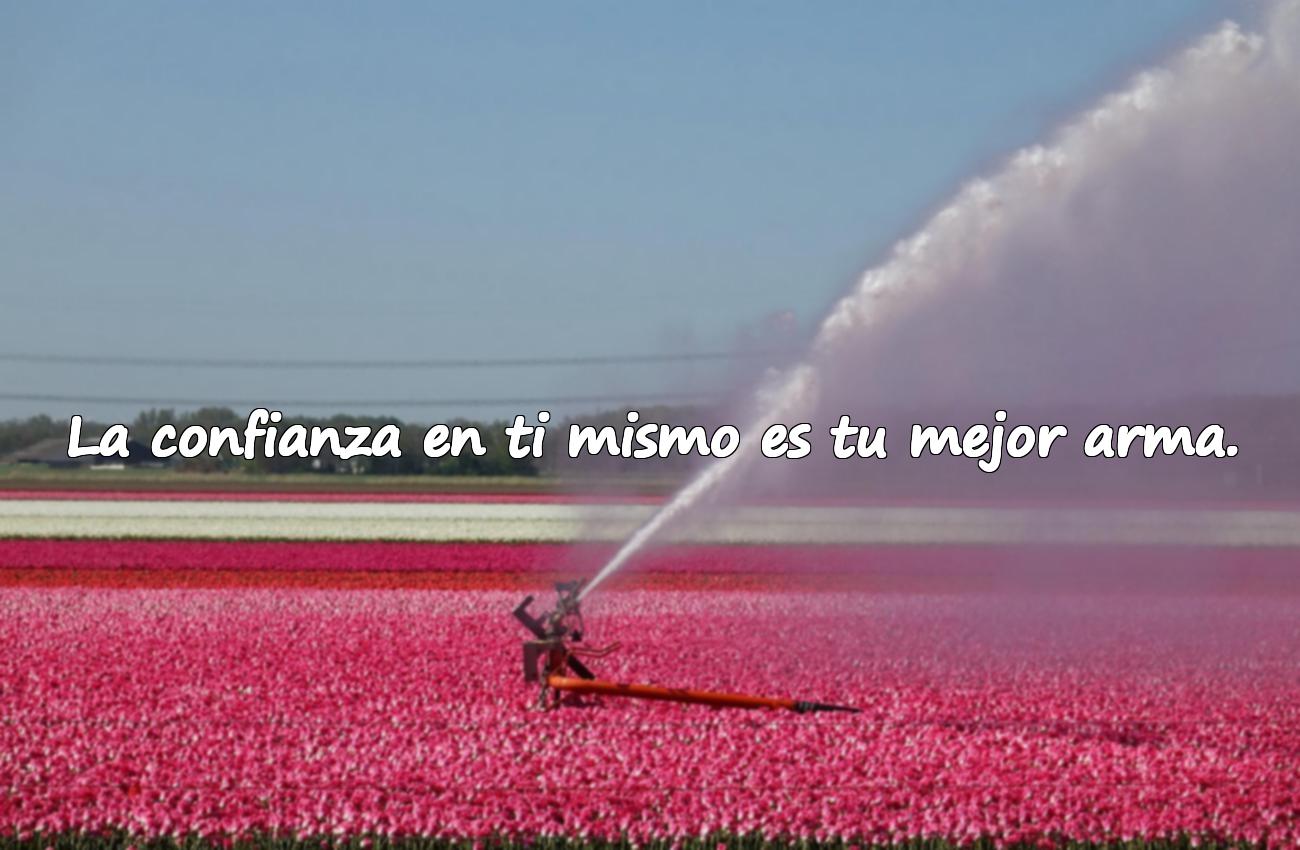 frases de motivacion