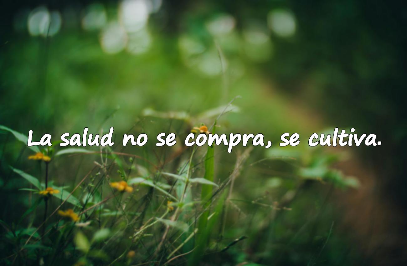 frases de salud