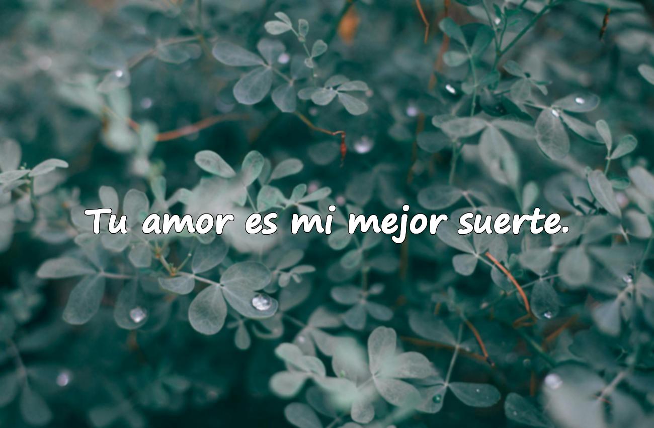 frases de san valentín