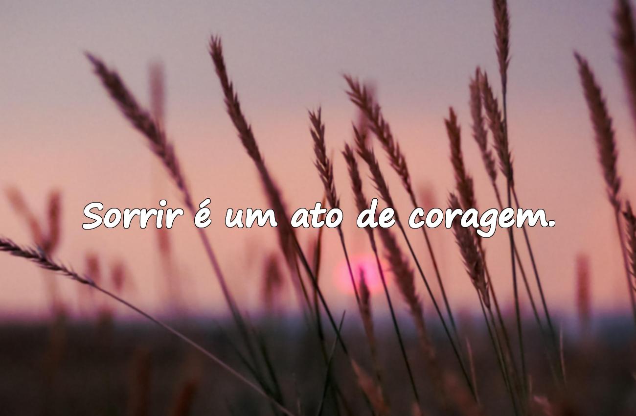 frases de sorriso para status
