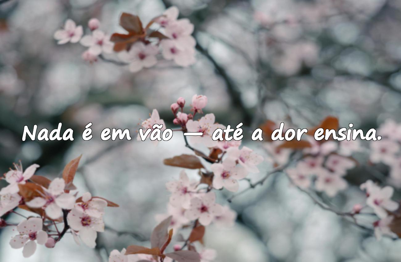 frases de superação