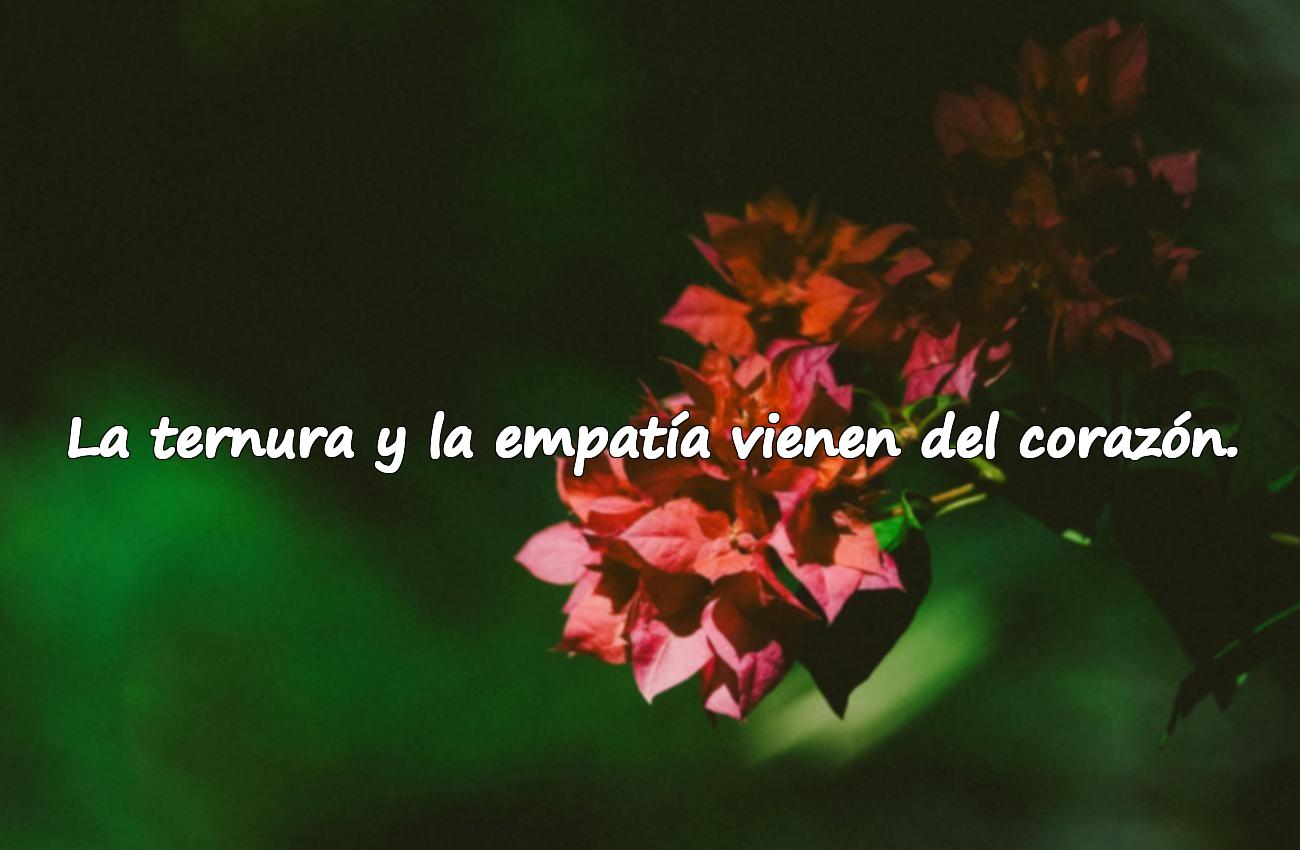 frases del corazon