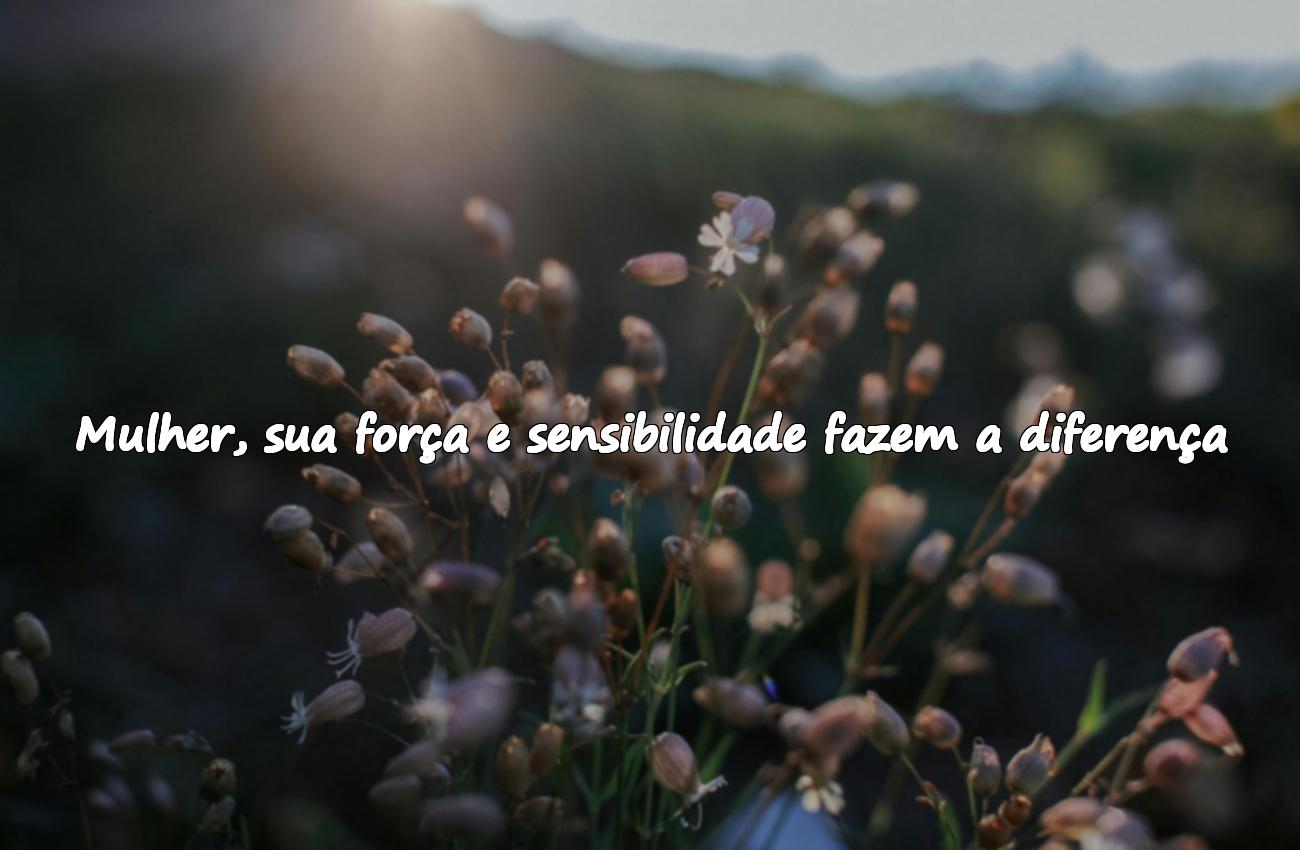 frases dia da mulher