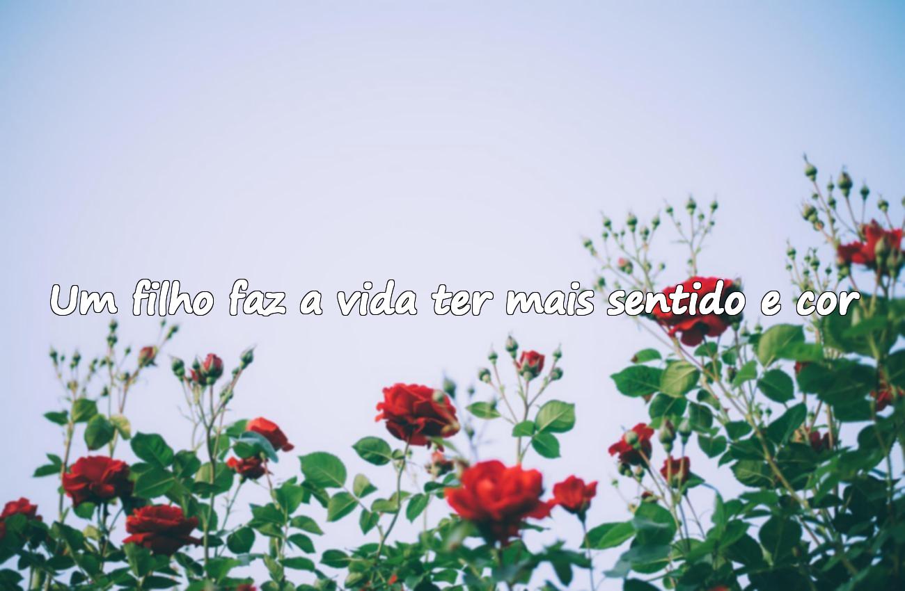 frases filhos