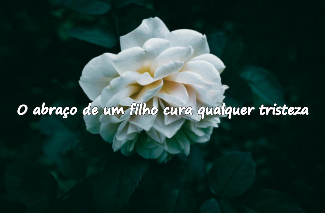 frases filhos