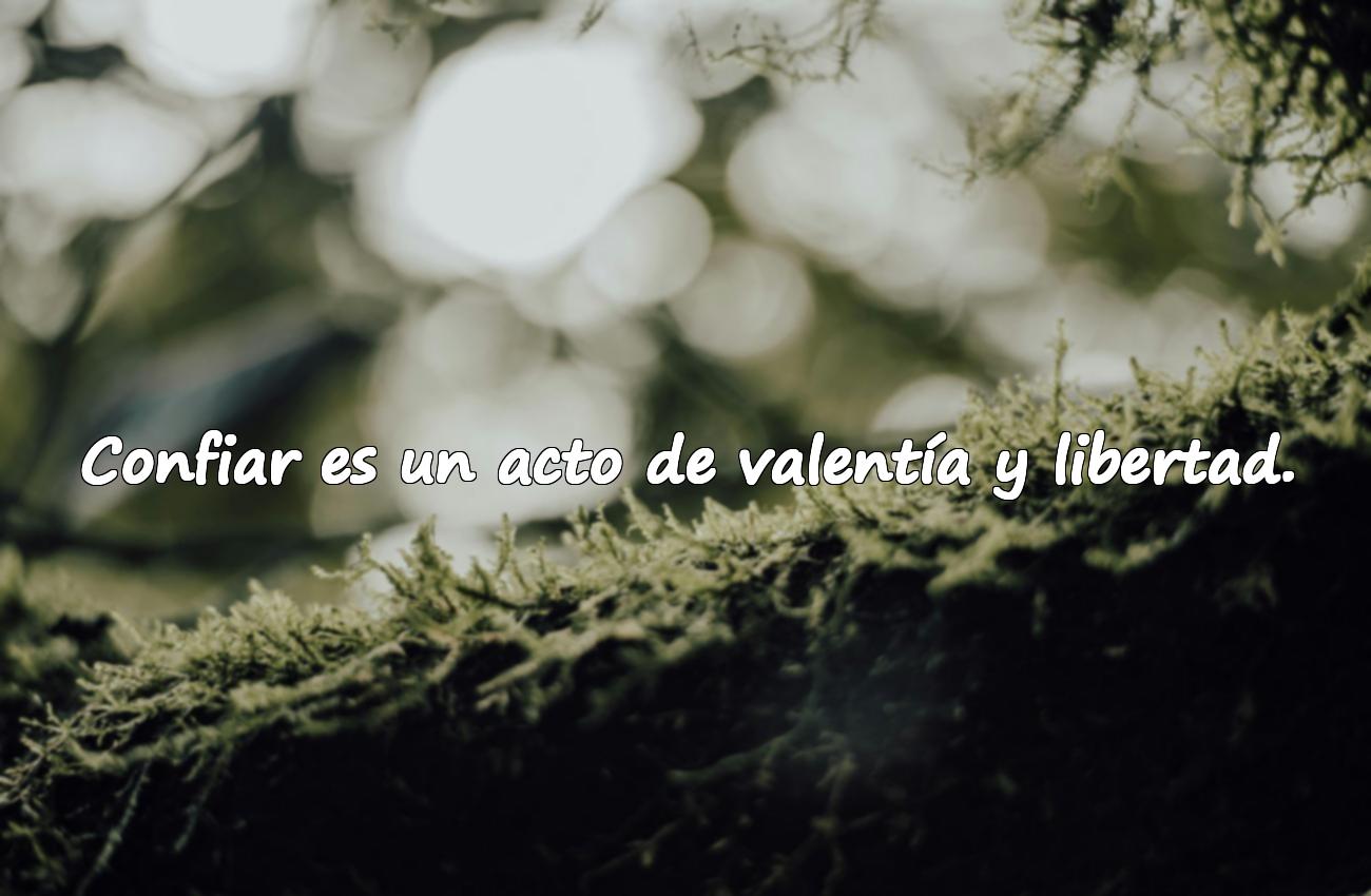 Frases Hermosas sobre la Confianza