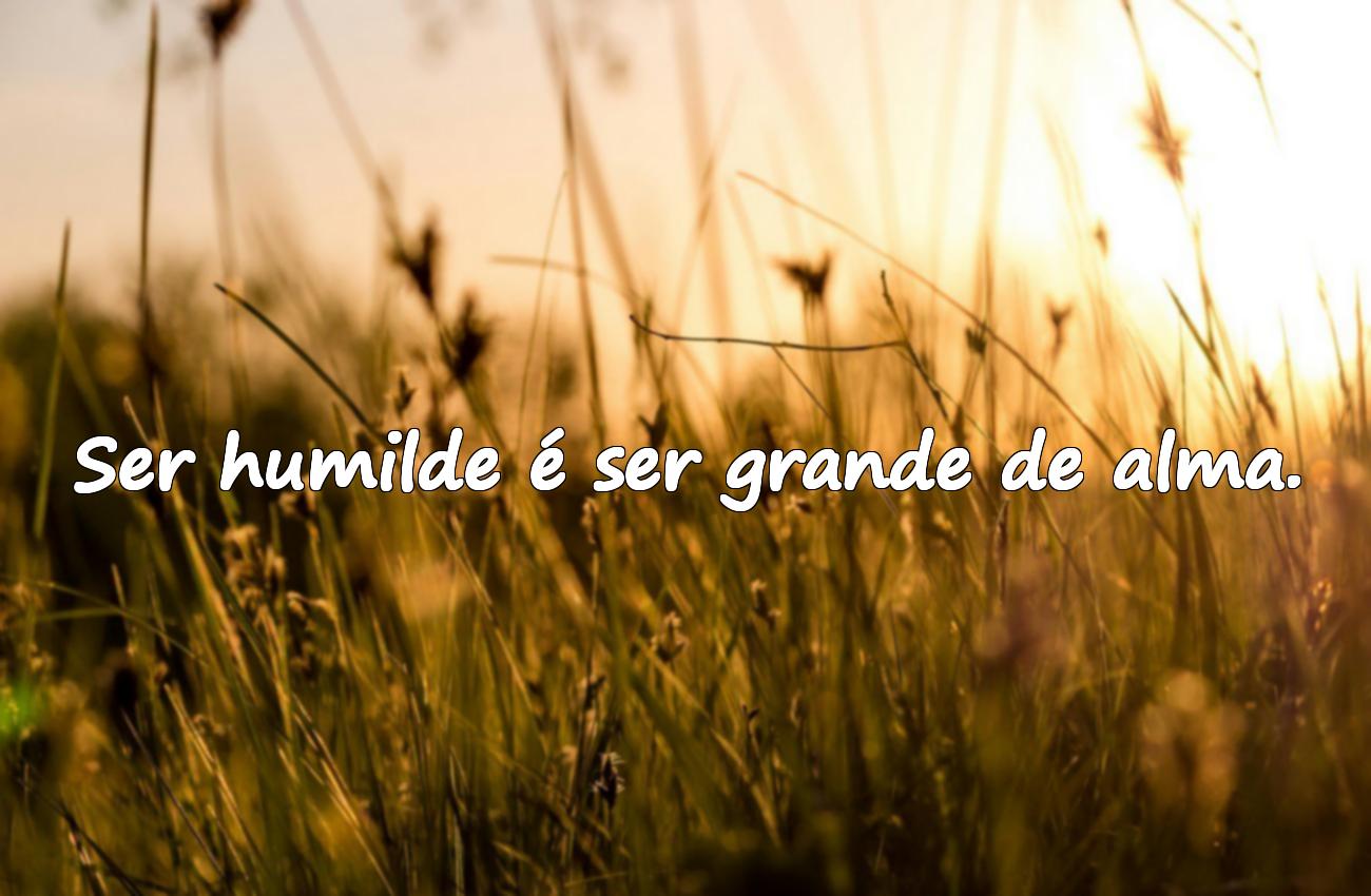 frases humildade