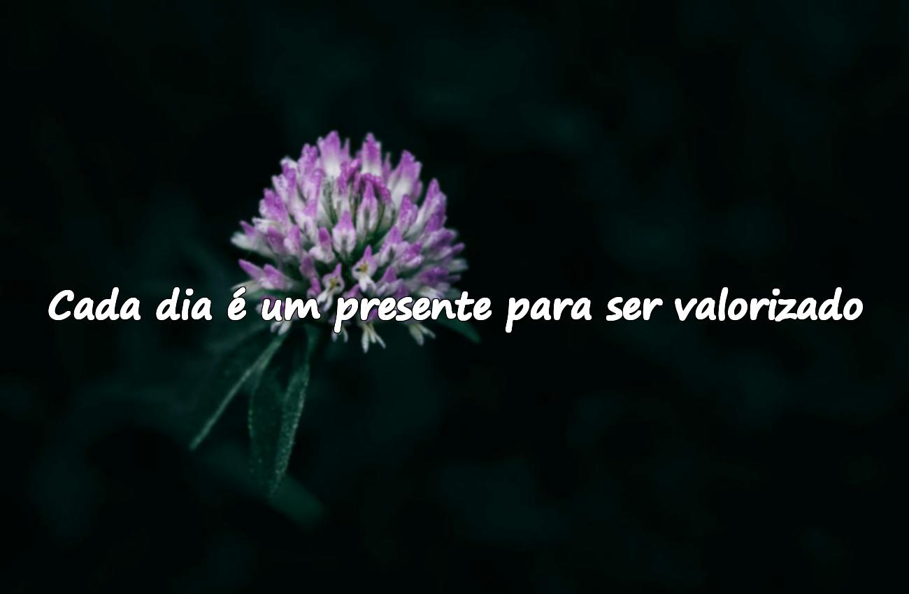 frases lindas