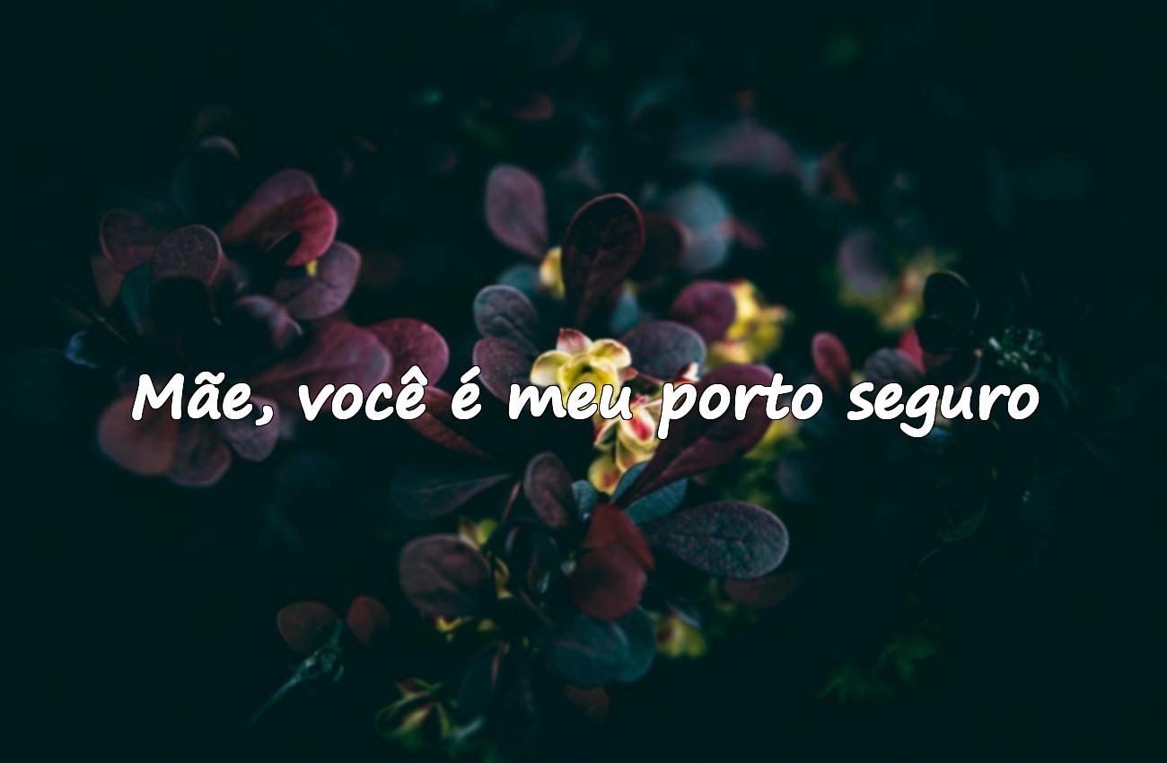 frases mãe