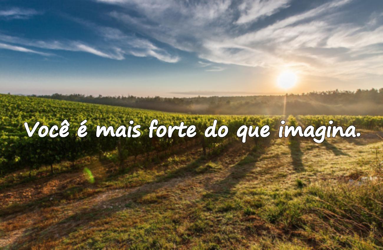 frases motivacionais