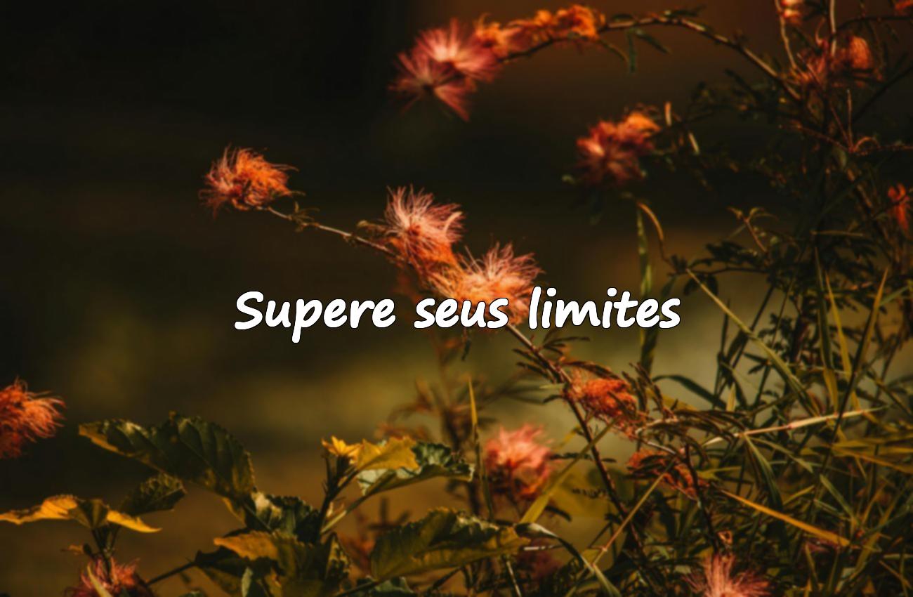 frases motivacionais curtas