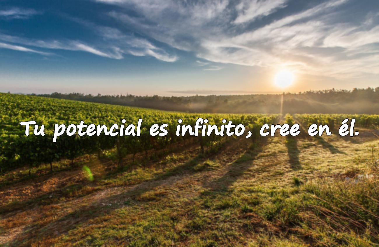 frases motivadoras
