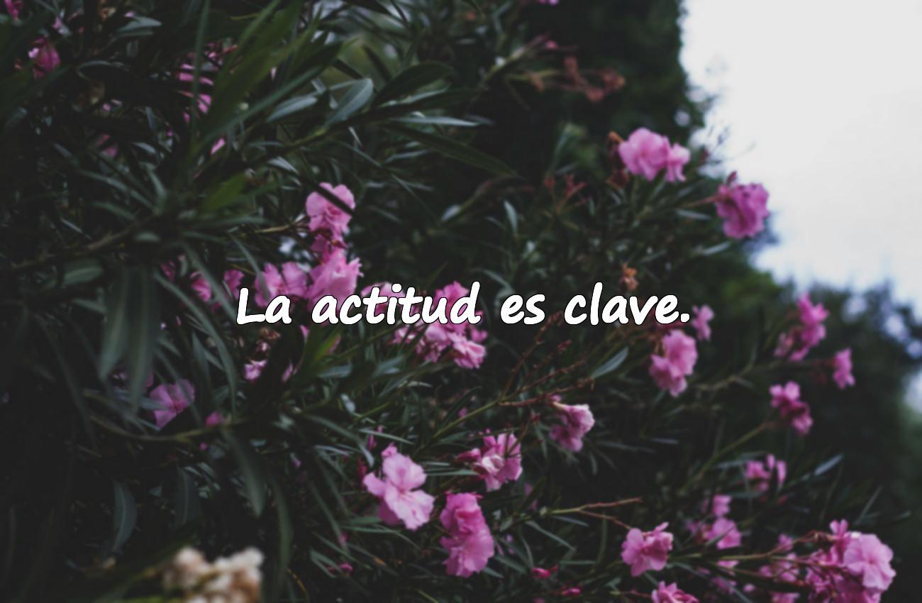 frases motivadoras cortas