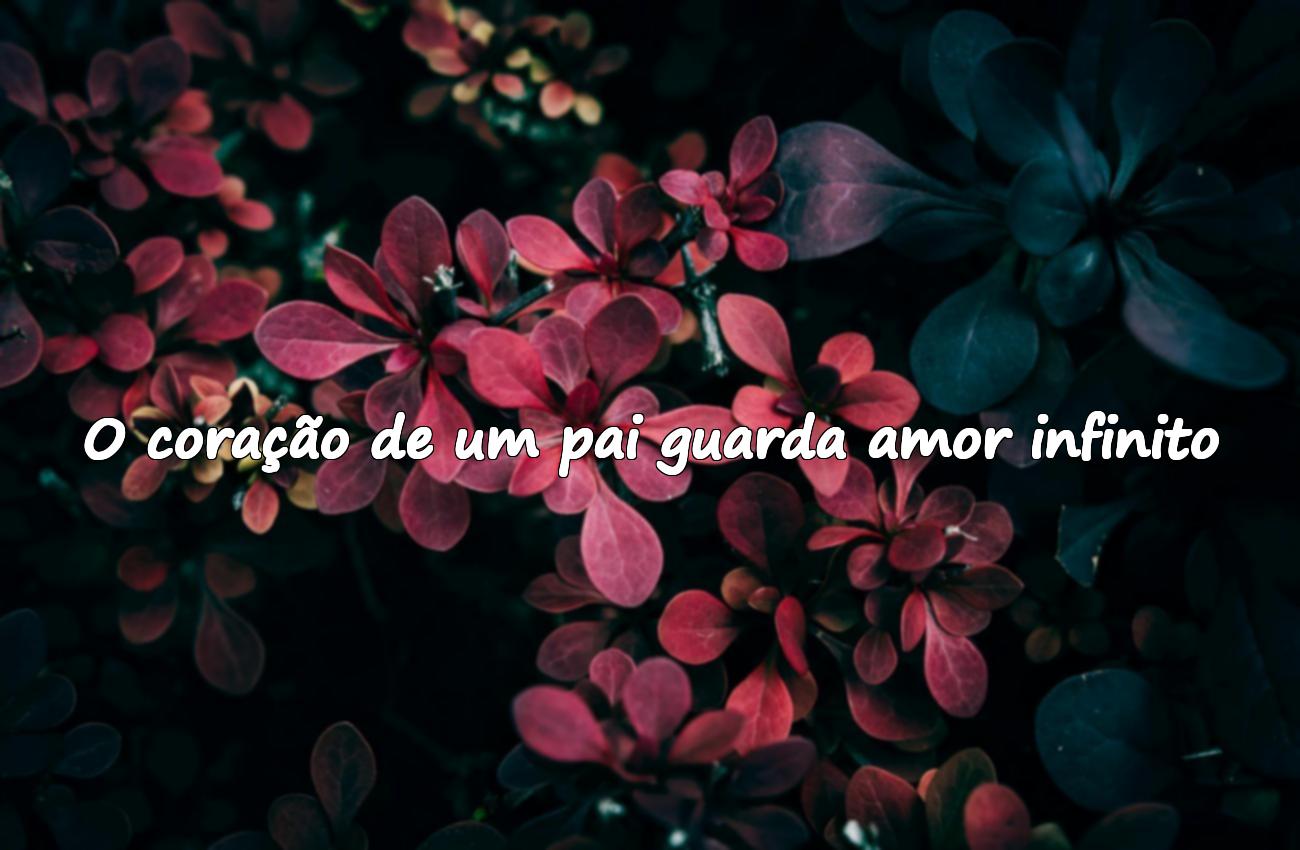 frases pai
