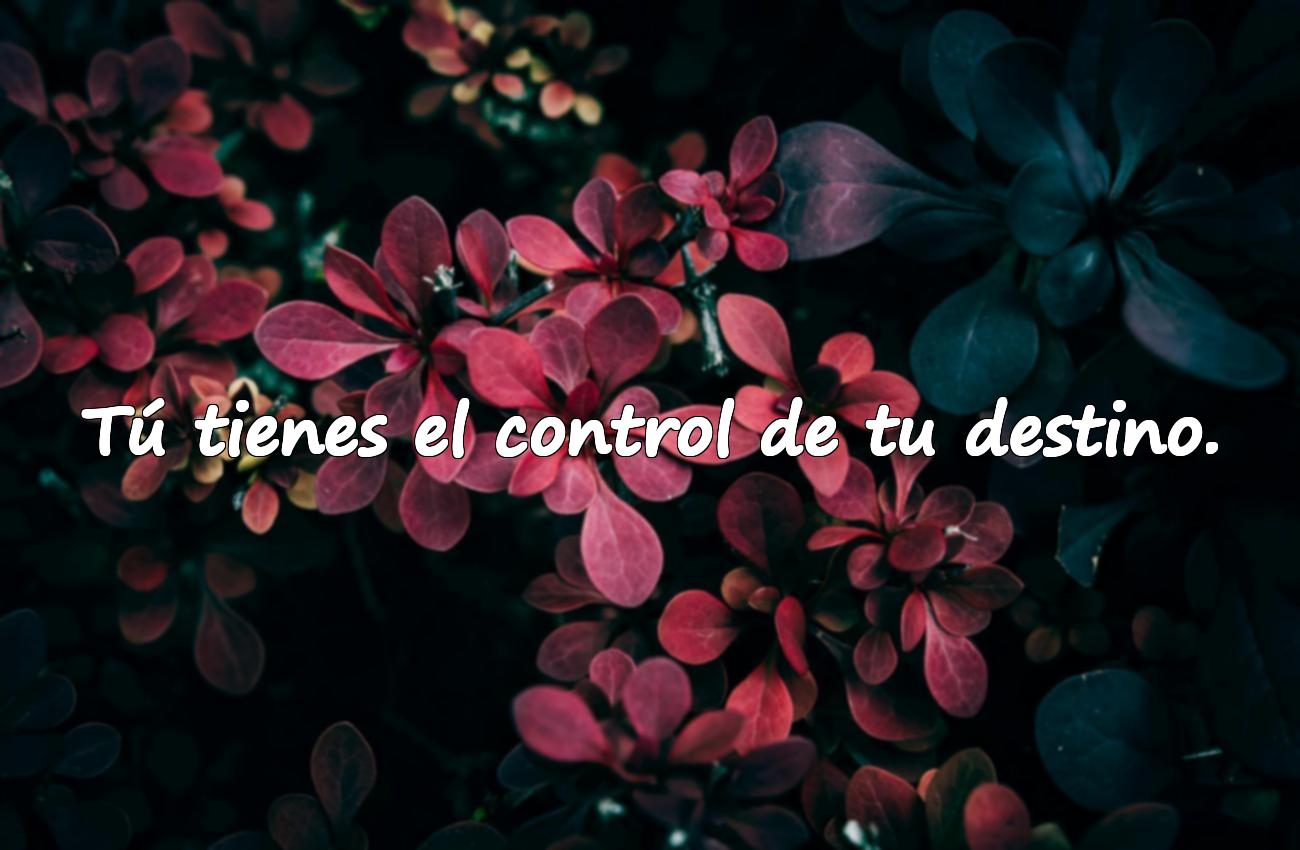 frases para dar animo