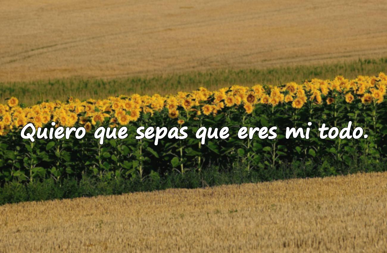 frases para enamorar a una mujer