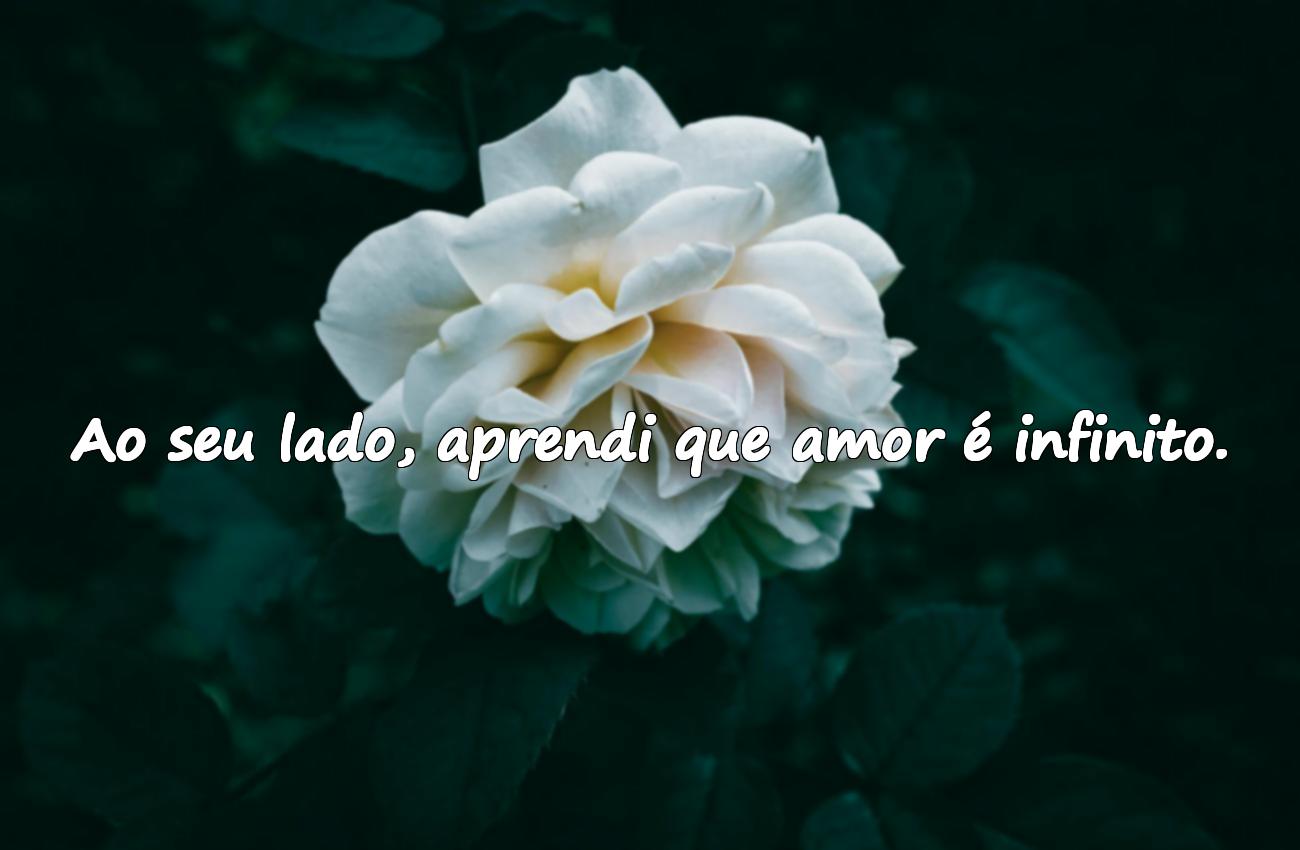 frases para o amor da minha vida