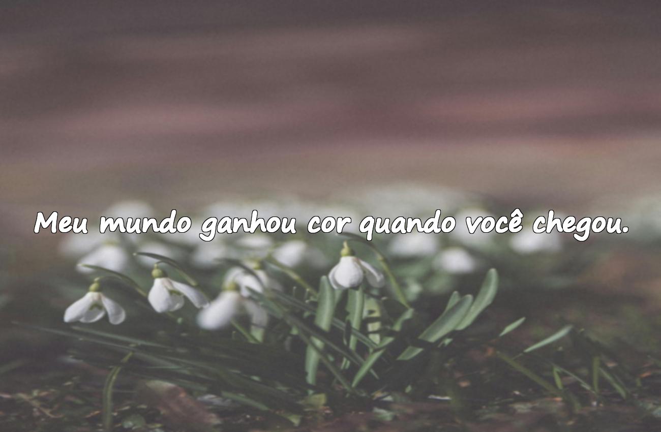 frases para o amor da minha vida